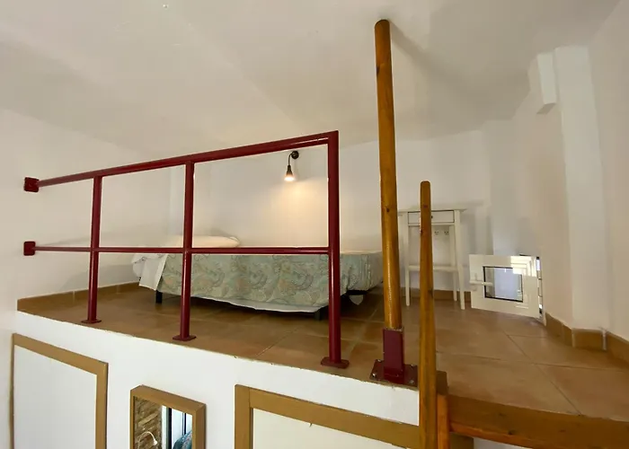 Apartamentos Fernando El Catolico